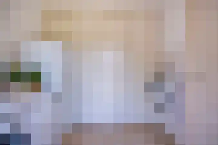 Schapenhei 4 Best thumbnail 30