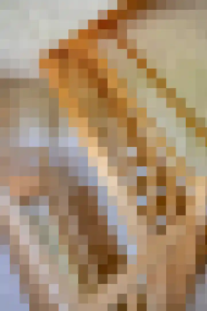 Schapenhei 4 Best thumbnail 33