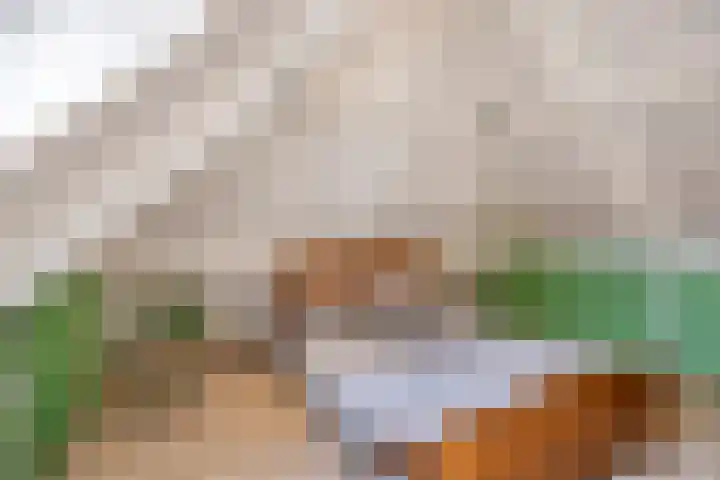 Schapenhei 4 Best thumbnail 36