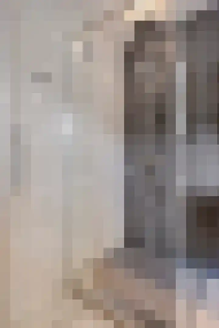 Schapenhei 4 Best thumbnail 39