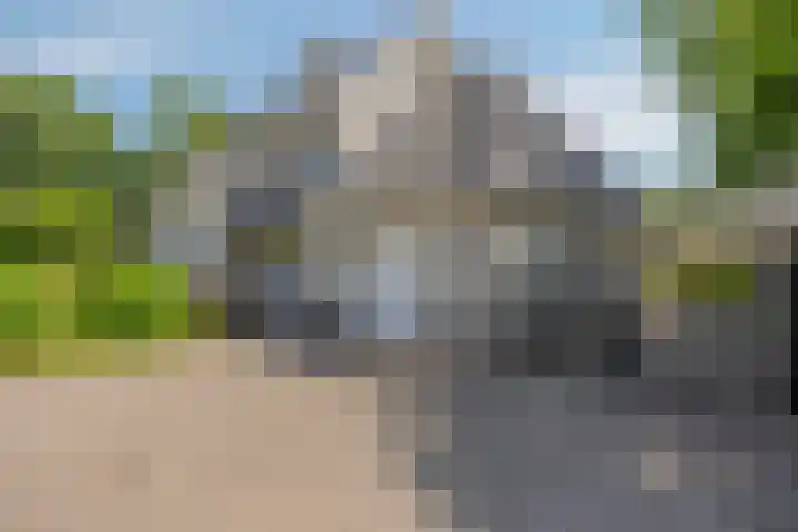 Schapenhei 4 Best thumbnail 4
