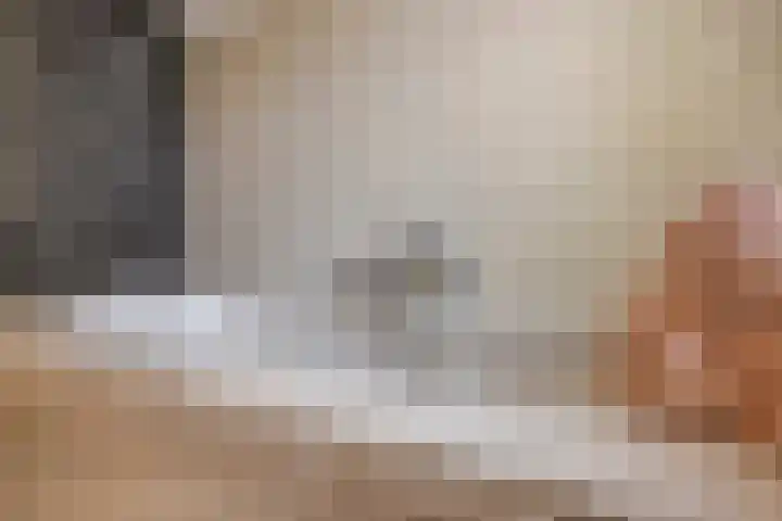 Schapenhei 4 Best thumbnail 41