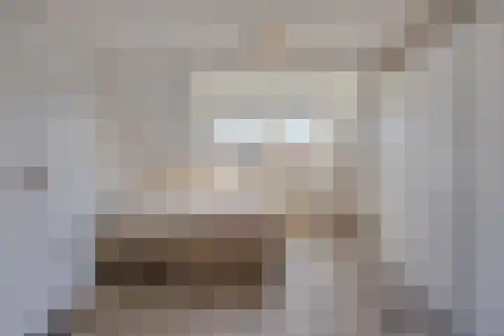 Schapenhei 4 Best thumbnail 42