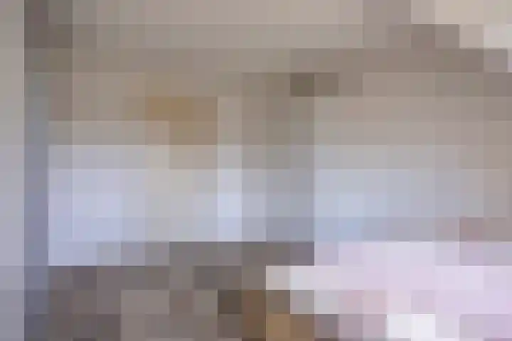 Schapenhei 4 Best thumbnail 43