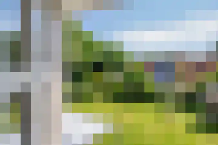 Schapenhei 4 Best thumbnail 44
