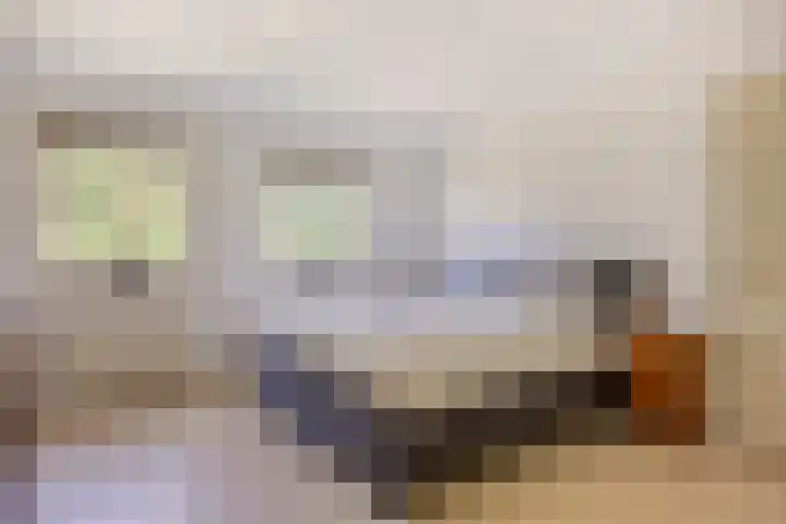 Schapenhei 4 Best thumbnail 46