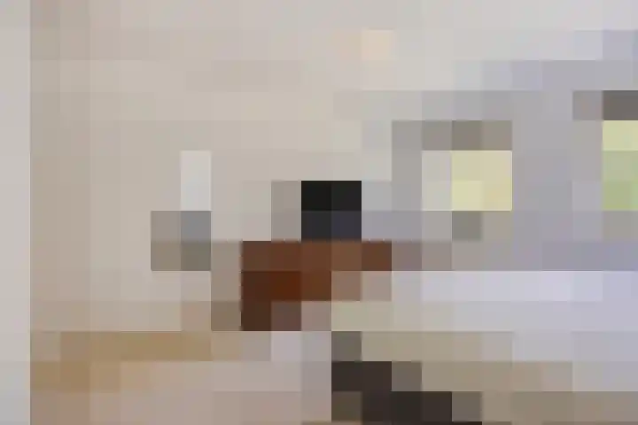 Schapenhei 4 Best thumbnail 47