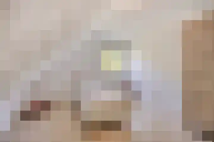 Schapenhei 4 Best thumbnail 48
