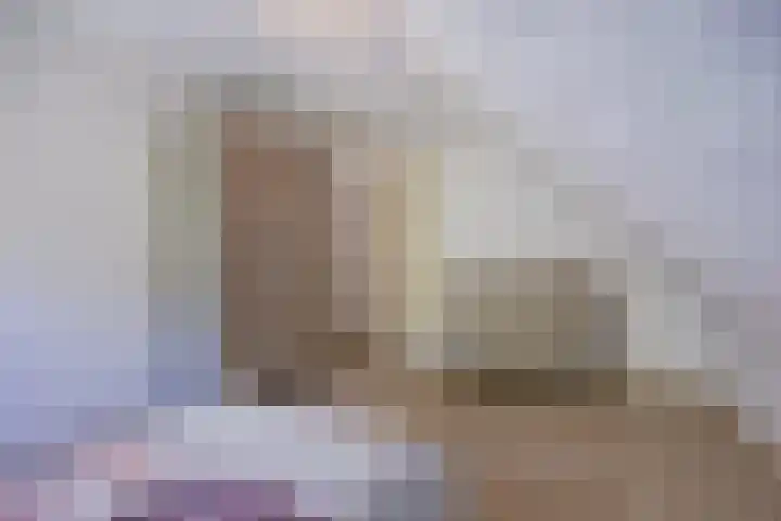 Schapenhei 4 Best thumbnail 49