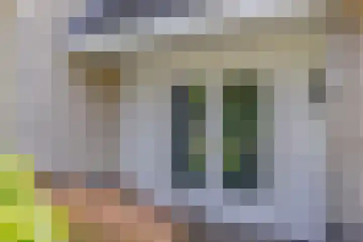 Schapenhei 4 Best thumbnail 5