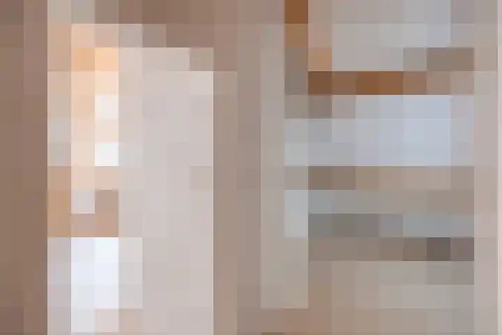 Schapenhei 4 Best thumbnail 51