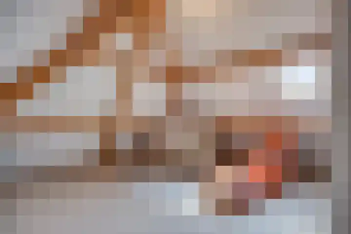 Schapenhei 4 Best thumbnail 52