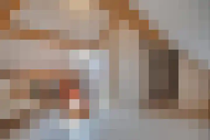 Schapenhei 4 Best thumbnail 53