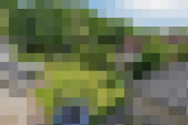 Schapenhei 4 Best thumbnail 54