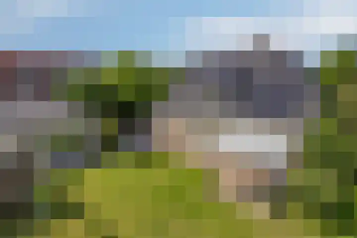 Schapenhei 4 Best thumbnail 55