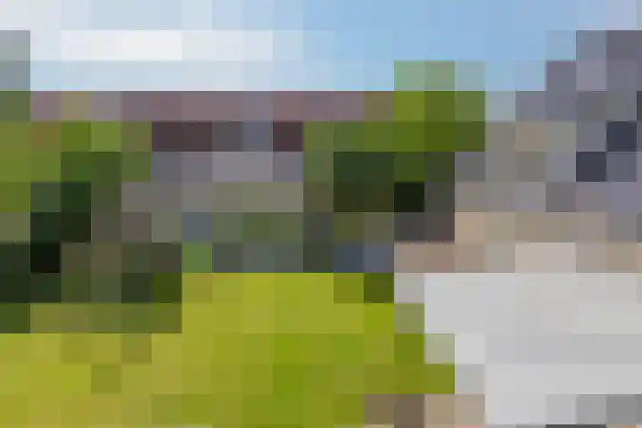 Schapenhei 4 Best thumbnail 56