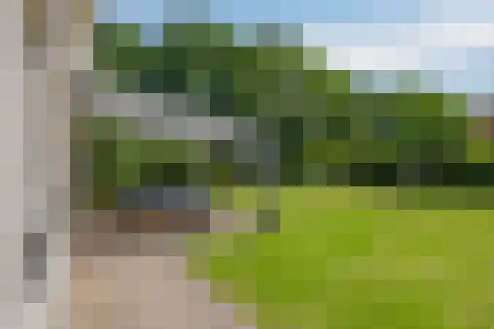 Schapenhei 4 Best thumbnail 57