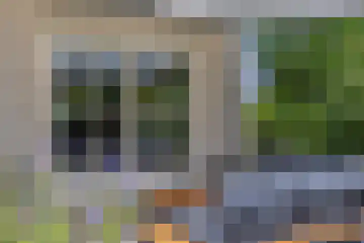 Schapenhei 4 Best thumbnail 58