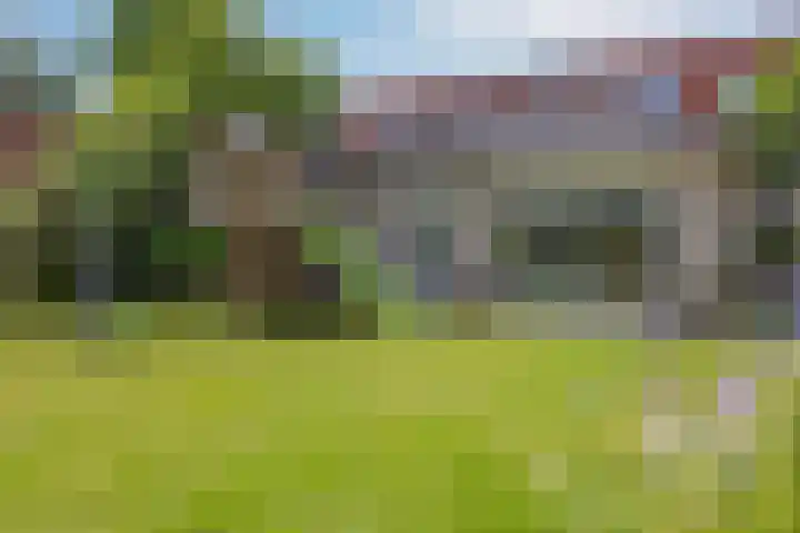 Schapenhei 4 Best thumbnail 59