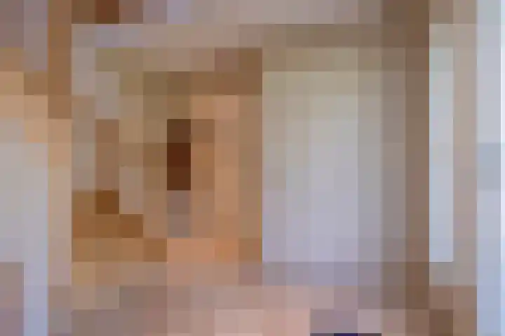 Schapenhei 4 Best thumbnail 6