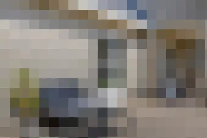 Schapenhei 4 Best thumbnail 67