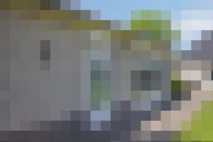 Schapenhei 4 Best thumbnail 68