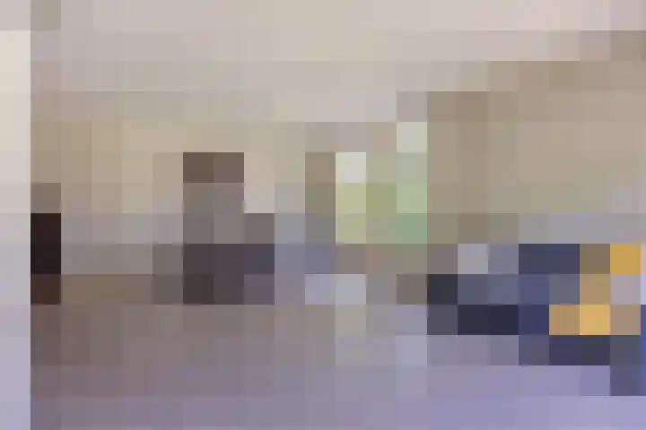 Schapenhei 4 Best thumbnail 71
