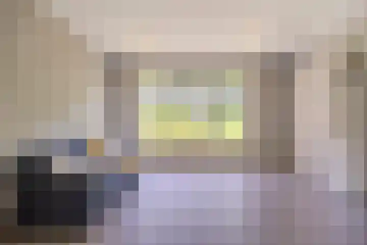 Schapenhei 4 Best thumbnail 72
