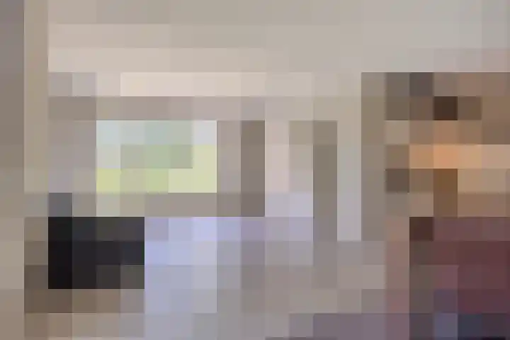 Schapenhei 4 Best thumbnail 73