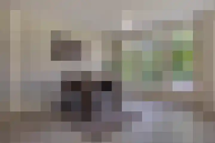 Schapenhei 4 Best thumbnail 74