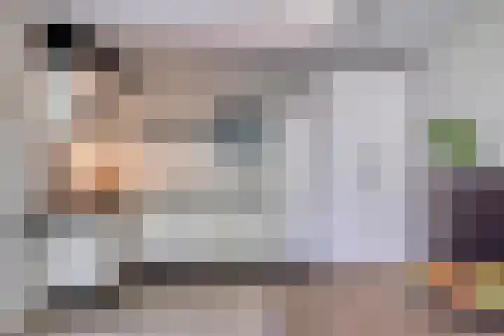 Schapenhei 4 Best thumbnail 76