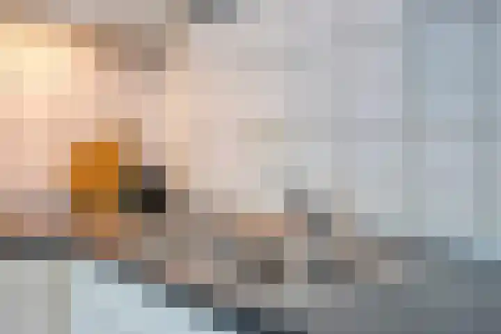 Schapenhei 4 Best thumbnail 79