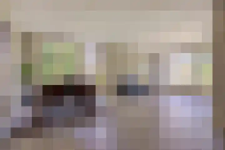 Schapenhei 4 Best thumbnail 80