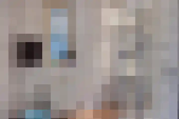 Schapenhei 4 Best thumbnail 81