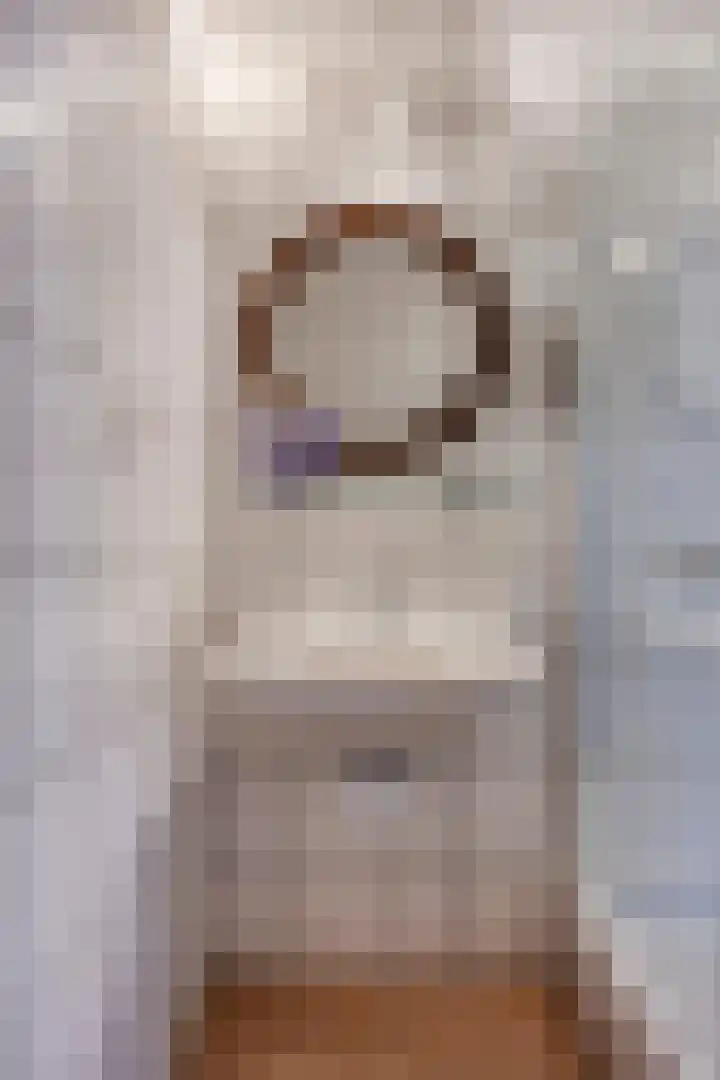 Schapenhei 4 Best thumbnail 83