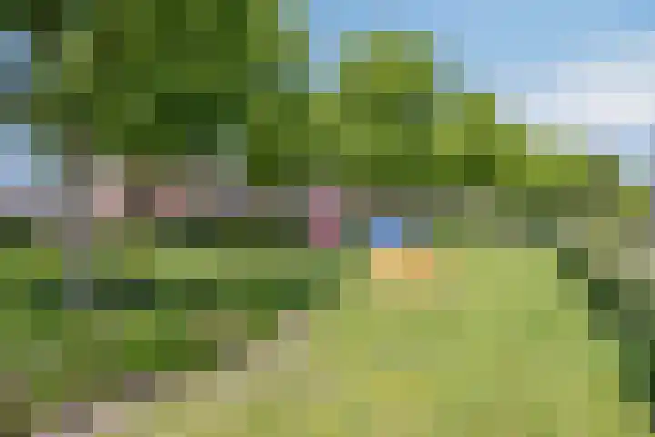 Schapenhei 4 Best thumbnail 85