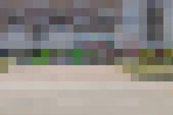 Schapenhei 4 Best thumbnail 87