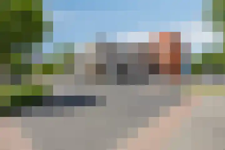 Schapenhei 4 Best thumbnail 88