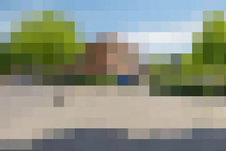 Schapenhei 4 Best thumbnail 89