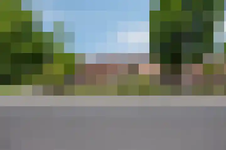 Schapenhei 4 Best thumbnail 90