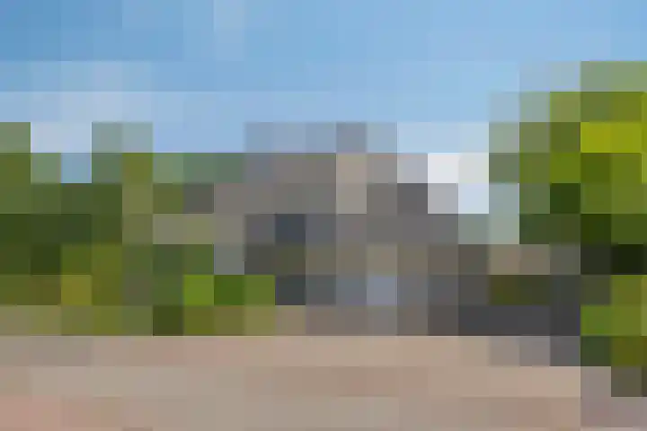 Schapenhei 4 Best thumbnail 91
