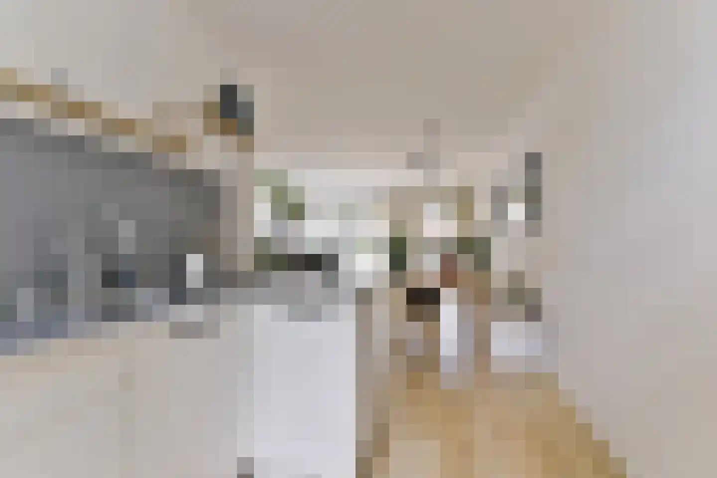 Schapenhoeve 19 Houten thumbnail 15