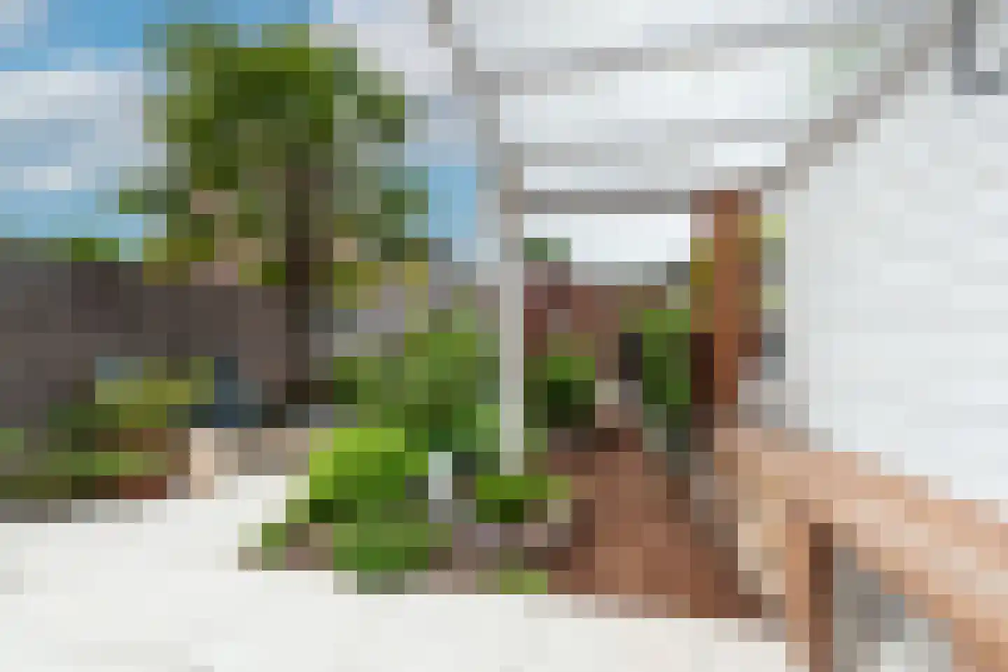 Schapenhoeve 19 Houten thumbnail 34