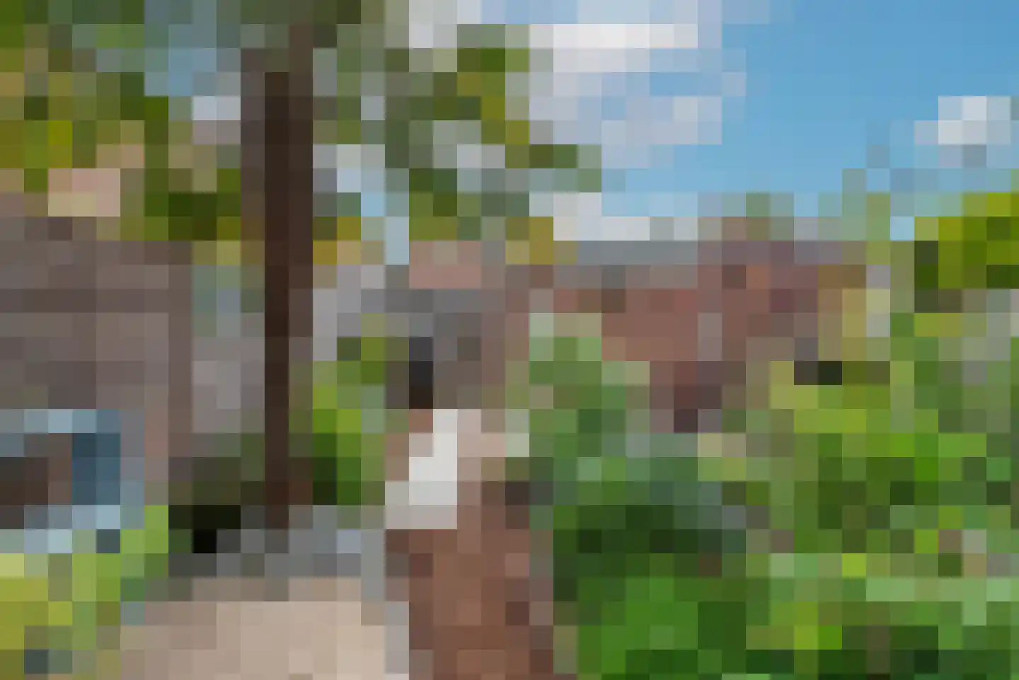 Schapenhoeve 19 Houten thumbnail 35