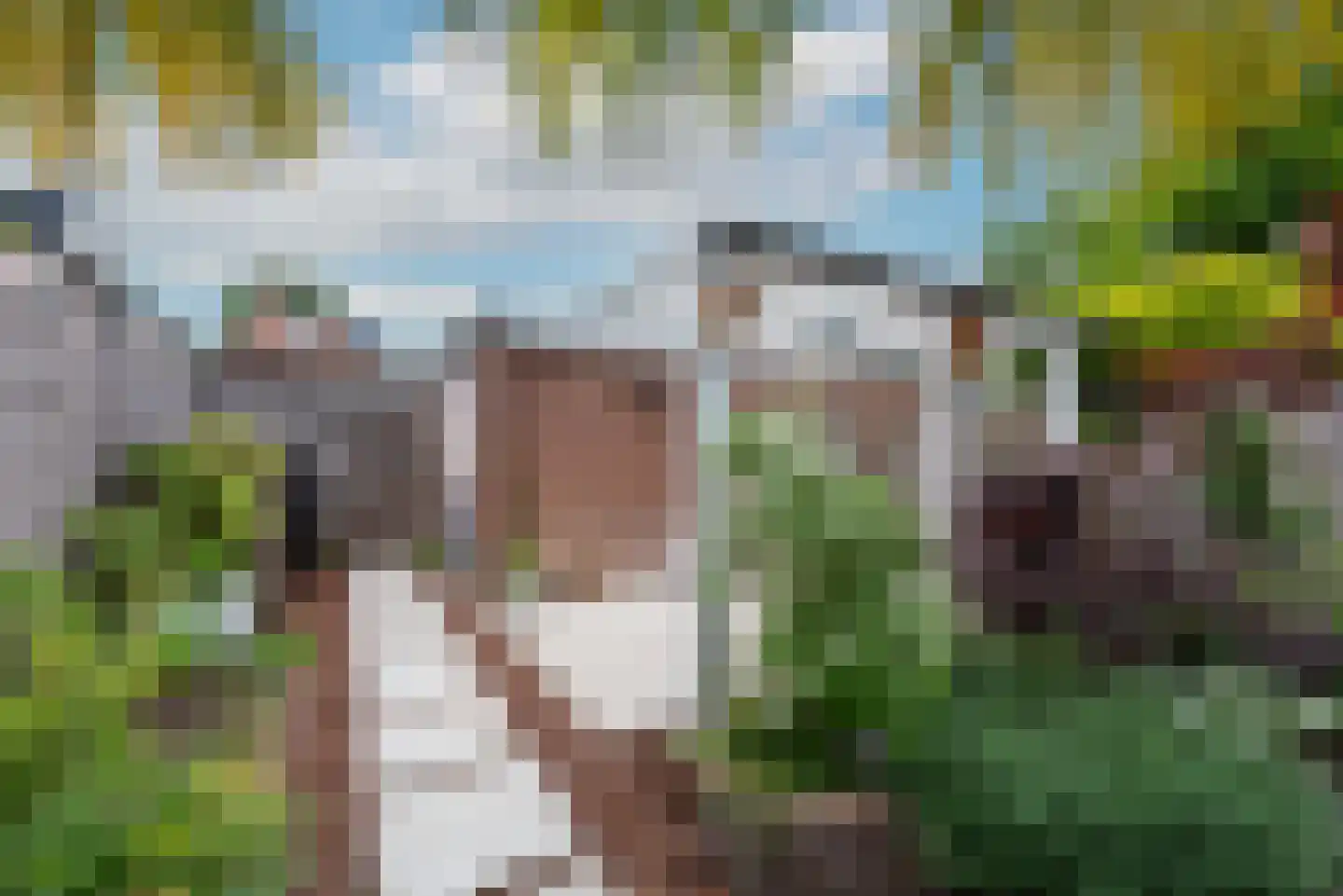 Schapenhoeve 19 Houten thumbnail 36