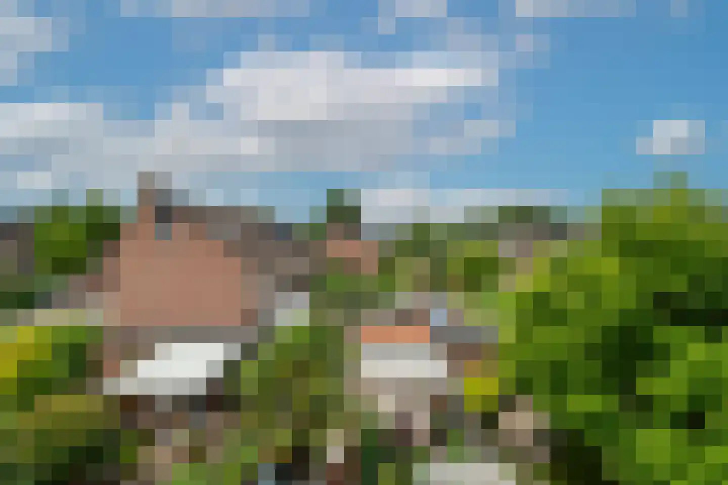 Schapenhoeve 19 Houten thumbnail 40
