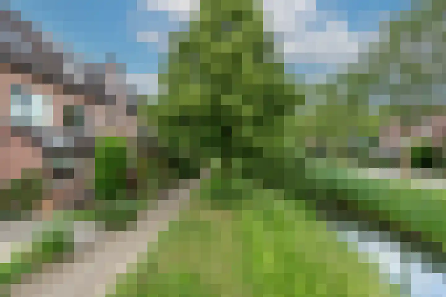 Schapenhoeve 19 Houten thumbnail 42