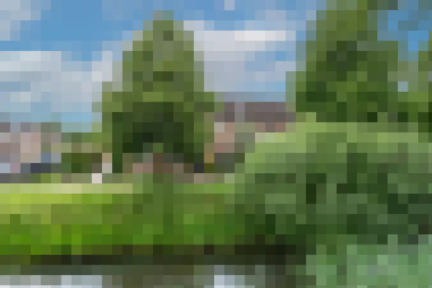 Schapenhoeve 19 Houten thumbnail 43