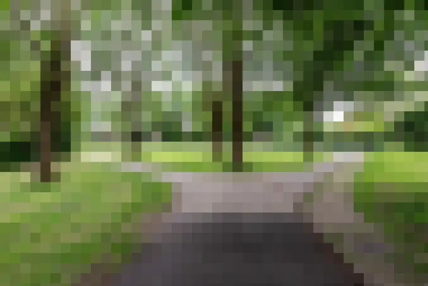 Schapenhoeve 19 Houten thumbnail 46
