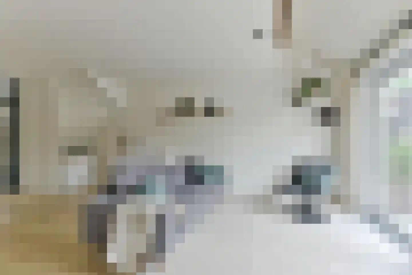 Schapenhoeve 19 Houten thumbnail 6